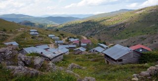 Sıhırçukuru Yaylası, Eşsiz Manzarasıyla Büyülüyor