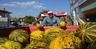 Çiftçiler Tütüncülüğü Bırakıp Kavuna Yöneliyor