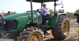 Bakan Pakdemirli Tarlaya İndi, Traktör Kullandı