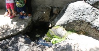 Vadef Başkan Ve Üyeleri Vartoda