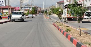 Erciş Belediyesinden Refüj Boyama, Parke Taşı Döşeme Çalışmaları