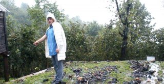 Sel Bu Kez Ünyeyi Vurdu