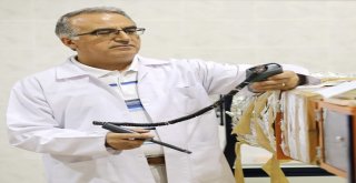 Gaün Gıda Mühendisliği Bölümü Eğitim Programı Müdek Tarafından Akredite Oldu