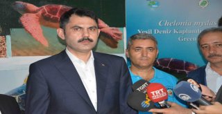 Bakan Kurum Caretta Carettaları Denizle Buluşturdu