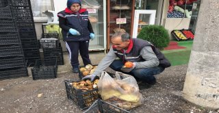 (Özel Haber) Ayı Mantarı Köylünün Gelir Kapısı Oldu