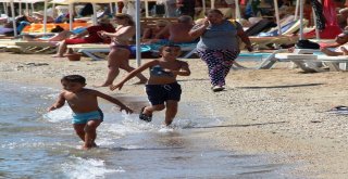 Bodruma 100 Bin Araç, 2 Milyon Tatilci Geldi