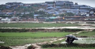 Arakanlı Mültecilerin Açlık Savaşı