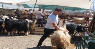 Kurban Pazarında Yoğunluk