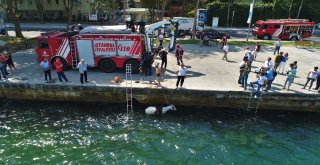 Sariyerde Denize Düşen Atın Kurtarılma Anı Havadan Görüntülendi
