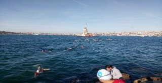 Cumhuriyetin Kuruluş Yıl Dönümünde Kız Kulesine Yüzerek Geçtiler