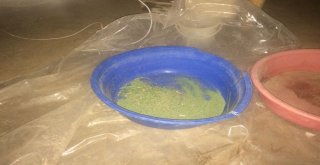 Elazığda 2 Kilo 760 Gram Kilo Esrar Ele Geçirildi
