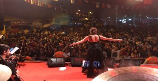 Karakucak Güreşleri Silifkede Devam Etti