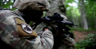 Jöperler İlk Defa Bu Kadar Yakından Görüntülendi