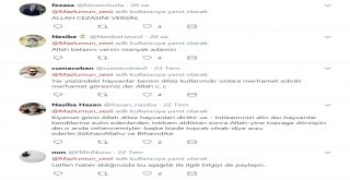 Eşeğe İşkence Yaptılar, Sosyal Medyada Paylaştılar