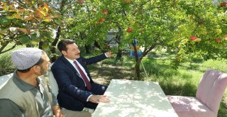 Başkan Tok Çay Davetini Kırmadı