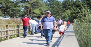 Tatilciler, Abant Tabiat Parkında 5 Kilometrelik Araç Kuyruğu Oluşturdu