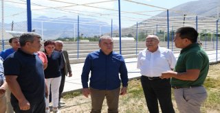 Feslikan Yaylası Şenlikleri İçin Geri Sayım