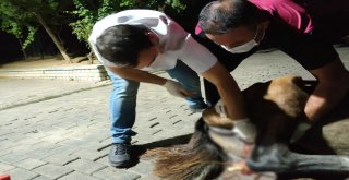 Yaralı Ata Aydın Büyükşehir Sahip Çıktı