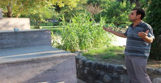 Temizlik İşçisinin Müzik Tutkusu