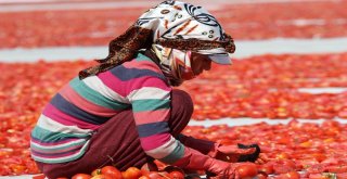 İzmir Ovaları Kırmızıya Büründü