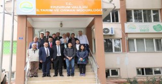 Çoruh Nehri Havzası Rehabilitasyon Projesi