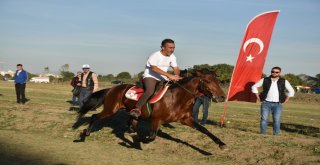 Rahvan Atları, ‘Cumhuriyet Kupası İçin Yarıştı