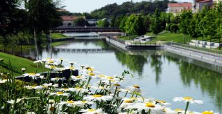 Kent Park Ve Güzler Parkına İlgi