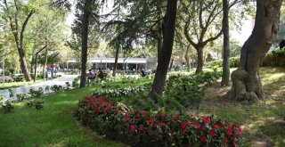Atatürk Parkı Ve Park Kafe Hizmete Girdi