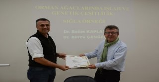Artan Nüfusla Ormanlar Azaldı