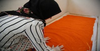 Tokatın Meşhur Kırmızı Biber Tarhanası