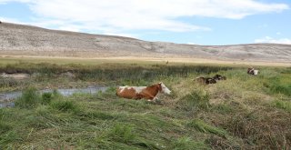 Kayseride İki Mahalle Karantinaya Alındı