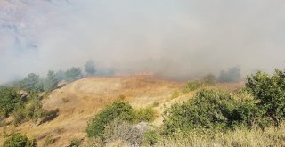 Gümüşhanedeki Örtü Yangını Kontrol Altına Alındı