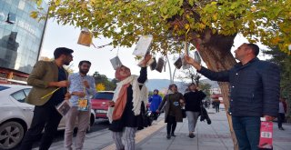 (Özel) Ağaç Dalları Kitap Açtı