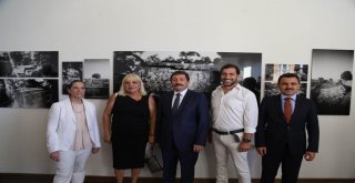 ‘Düşler Ülkesi: Troya