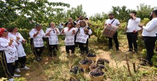 Şarköy Bağbozumu Ve Üzüm Festivali Düzenlendi