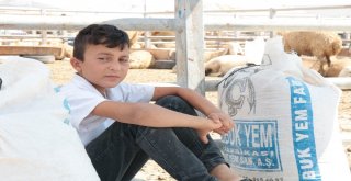 Celeplerin Umudu Arefe Gününe Kaldı