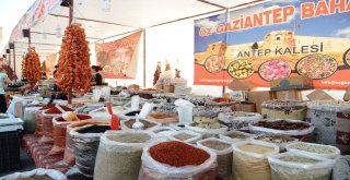 Beylikdüzünde 7. Geleneksel Gaziantep Kültür Sanat Şenliği Başlıyor