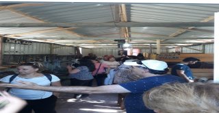 Sanat Evine İlgi Her Geçen Gün Artıyor