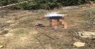 Antalyada Boş Arazide Erkek Cesedi Bulundu