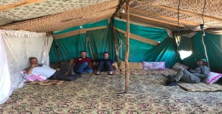 Terörün Yerini Huzura Bırakması İle Dağlar Ve Yaylalar Şenlendi