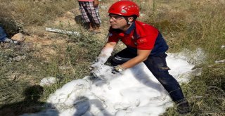 Boruya Sıkışan 4 Kaplumbağayı İtfaiye Kurtardı