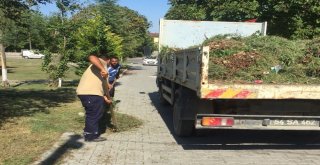 Sapancada Bayram Hazırlığı Başladı