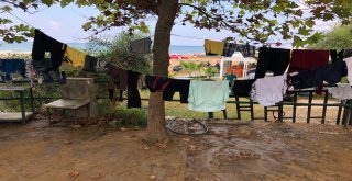 Bayram Tatili Bitti Ama Görüntü Değişmedi