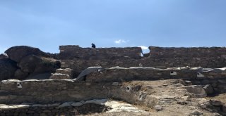 Tarihi Gevale Kalesi Ortaya Çıkarılıyor