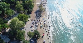 Dilek Yarımadasında Ormanla İç İçe Plaj Keyfi