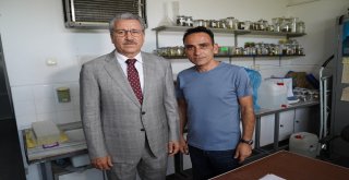 Yılan Zehrinden İlaç Yapımına Işık Tutacak Çalışmalar