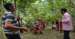 (Özel) Fındık Hasadı Dua Ve Kemençeyle Başladı