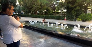 (Özel) Çocukların Süs Havuzundaki Tehlikeli Oyunu Kamerada