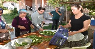 Hobi Bahçesinden Turşu Üretiyorlar