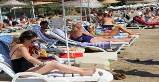 Bodruma 100 Bin Araç, 2 Milyon Tatilci Geldi